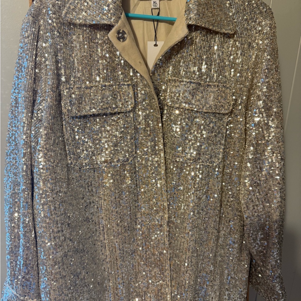 BB Dakota Silver Sequin Long Sleeve Button Down Shirt NWT